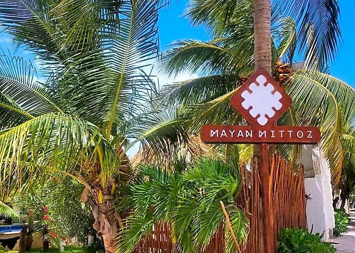 Mayan Mittoz